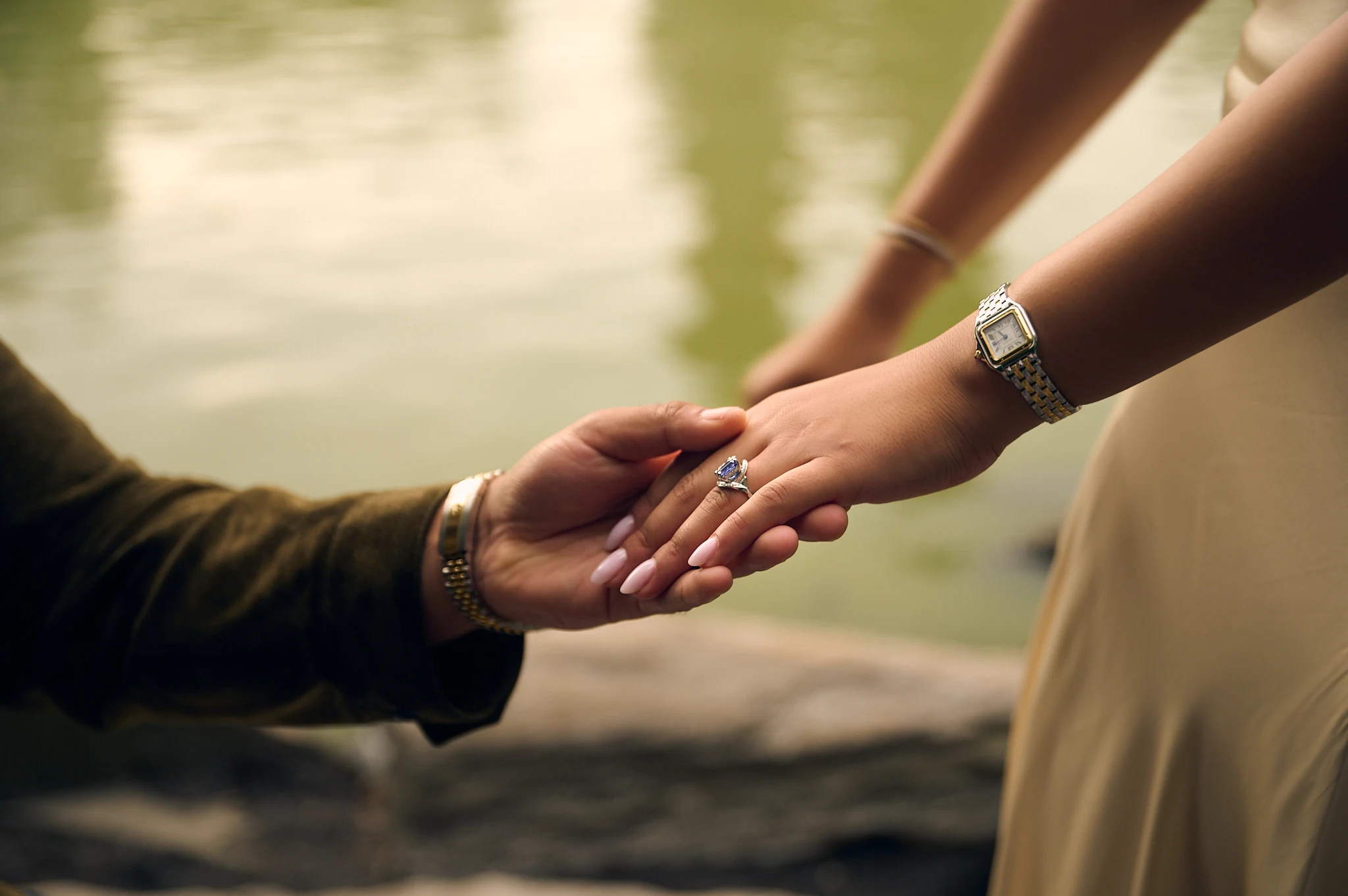 The proposal at Central Park Lake